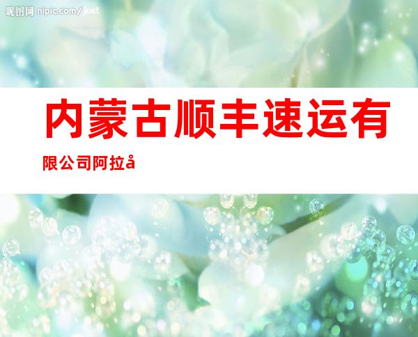 内蒙古顺丰速运有限公司阿拉善分公司